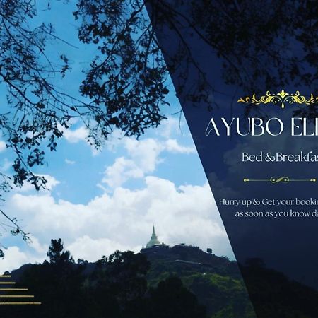 Ayubo Ella - Bed & Breakfast Exterior photo